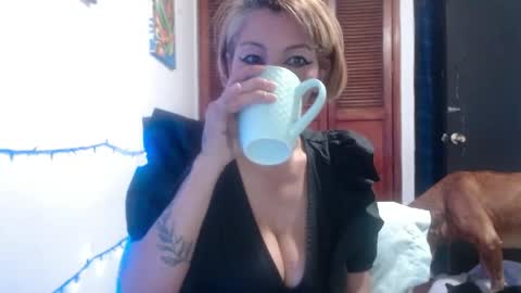Snapshot of barbiemature chatting on May 2026 09:06:01 AM barbiemature online show from May 2026 09:06:01 AM