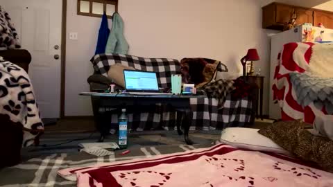 barelybehavedbarbie online show from April 2026 07:52:01 AM