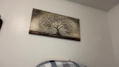 chicka online show from February 2025 06:02:01 AM