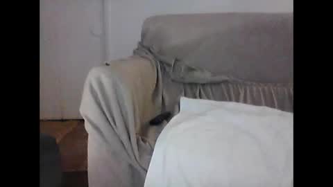 Snapshot of barrysand chatting on February 2025 07:45:02 AM barrysand online show from February 2025 07:45:02 AM