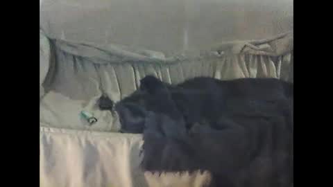 Snapshot of barrysand chatting on September 2025 02:14:01 AM barrysand online show from September 2025 02:14:01 AM