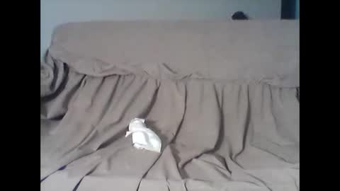 Snapshot of barrysand chatting on November 2025 04:12:01 AM barrysand online show from November 2025 04:12:01 AM