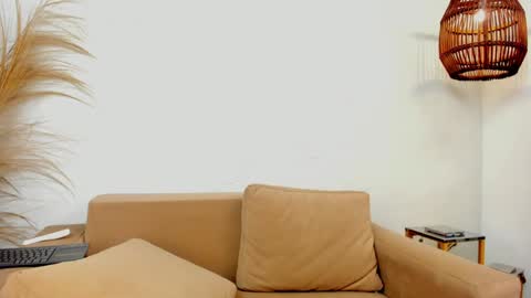 Snapshot of bastianrivas chatting on January 2025 02:57:01 PM Bastian. online show from January 2025 02:57:01 PM