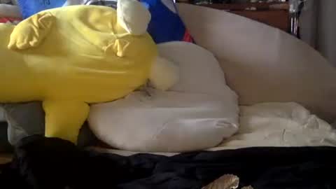 batorbrobos online show from January 2026 02:55:01 PM