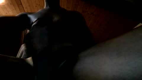Ferdinandooo online show from June 2026 09:39:01 PM