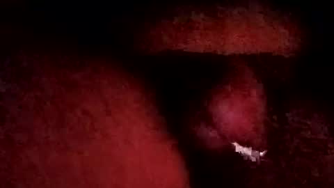 Snapshot of bcfalcon69 chatting on January 2026 06:06:01 AM bcfalcon69 online show from January 2026 06:06:01 AM