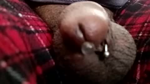 Snapshot of bcfalcon69 chatting on February 2026 06:49:02 PM bcfalcon69 online show from February 2026 06:49:02 PM