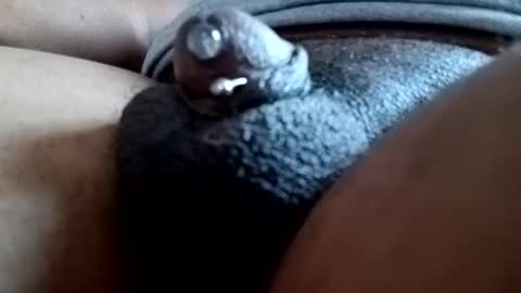 Snapshot of bcfalcon69 chatting on March 2026 12:31:01 PM bcfalcon69 online show from March 2026 12:31:01 PM