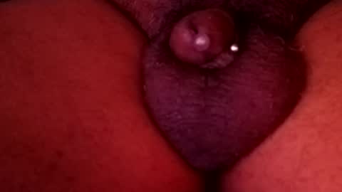 Snapshot of bcfalcon69 chatting on March 2026 12:26:01 AM bcfalcon69 online show from March 2026 12:26:01 AM