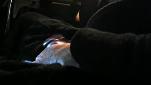 bear4146 online show from December 2024 03:24:02 PM