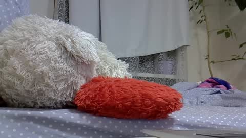 BeatriceTender online show from March 2025 07:45:02 PM