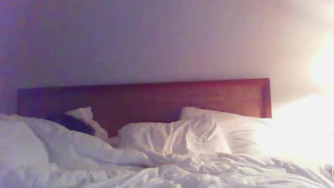 Bedbandits69 online show from February 2025 03:45:02 AM