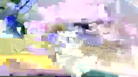 Snapshot of beencee2 chatting on March 2026 05:22:01 AM beencee2 online show from March 2026 05:22:01 AM