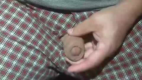  Reservoir Dogs online show from October 2025 02:12:02 AM