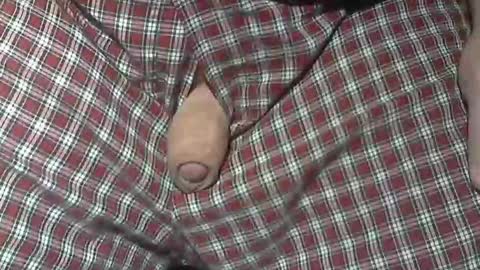  Reservoir Dogs online show from December 2025 12:04:02 AM