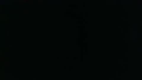 beesmithfield online show from May 2026 09:17:02 AM