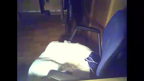 bekklove1 online show from February 2026 02:37:02 AM