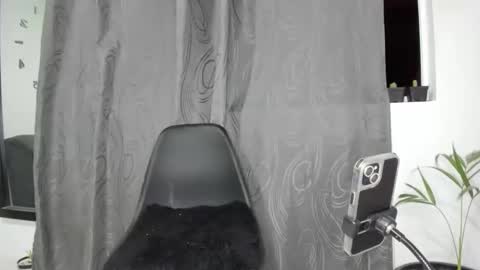 Snapshot of bella_38 chatting on March 2025 03:51:02 AM isabella online show from March 2025 03:51:02 AM