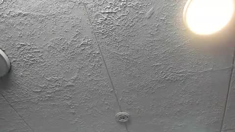  Bella  online show from December 2025 07:22:01 PM