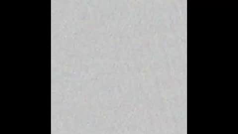 Bella online show from February 2026 11:17:01 AM