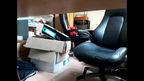 Snapshot of bellebate chatting on April 2026 01:13:02 PM Bellebate online show from April 2026 01:13:02 PM