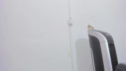 Bellota Flak online show from December 2024 08:32:02 AM