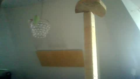 benizio online show from January 2025 10:38:01 AM