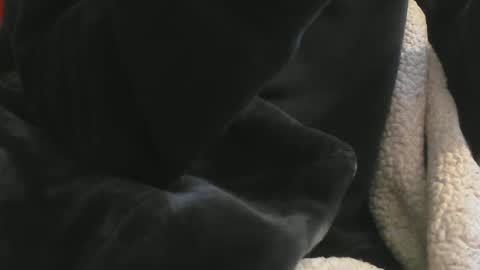 Snapshot of benx12123 chatting on February 2025 06:21:01 PM benx12123 online show from February 2025 06:21:01 PM