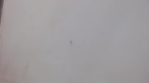 Snapshot of bergon30 chatting on February 2025 01:02:02 AM Bergon77 online show from February 2025 01:02:02 AM