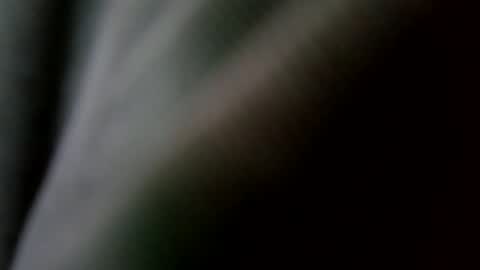 Snapshot of betohola chatting on February 2025 09:09:01 PM Betco online show from February 2025 09:09:01 PM