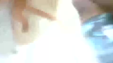 Snapshot of betohola chatting on March 2025 03:33:01 AM Betco online show from March 2025 03:33:01 AM