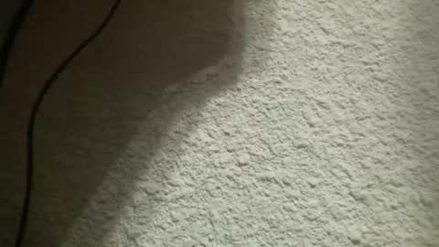 Bigfish123 online show from February 2025 05:21:01 AM