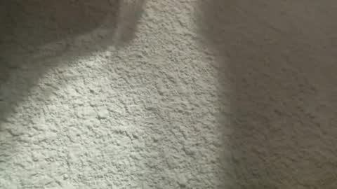 Bigfish123 online show from March 2025 04:41:01 AM