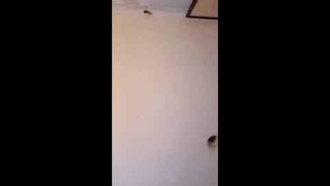 Snapshot of bgiamba21 chatting on April 2026 06:33:01 AM bgiamba21 online show from April 2026 06:33:01 AM