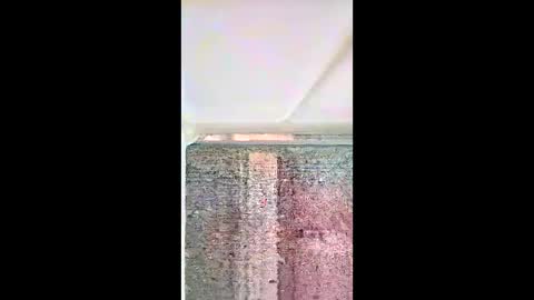 bhammerd5 online show from May 2026 03:04:02 AM