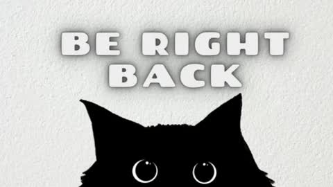 Snapshot of bibiana_js_ chatting on February 2026 07:51:01 AM bibiana_js_ online show from February 2026 07:51:01 AM