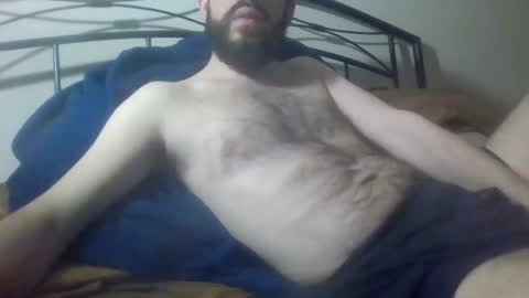 bibotguy online show from December 2024 04:02:02 AM