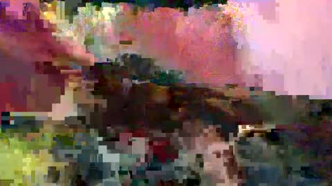 big9inchsnake online show from January 2025 12:42:01 AM