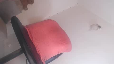 Snapshot of big_goddess_black chatting on March 2026 03:48:01 PM dashiell online show from March 2026 03:48:01 PM