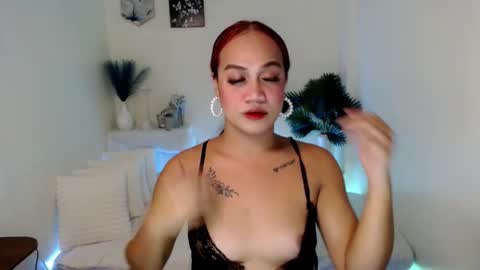 Gazini online show from September 2025 08:26:01 AM