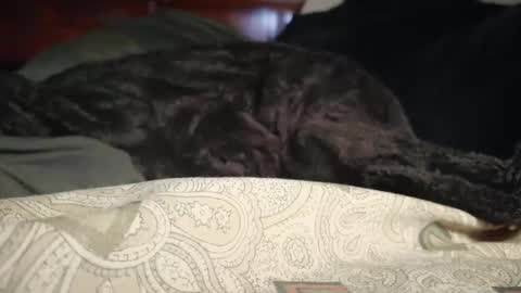 Biggest BC Energy online show from April 2026 09:10:02 AM