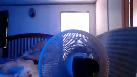 Snapshot of bigbenidick1 chatting on March 2026 08:30:02 PM BB online show from March 2026 08:30:02 PM