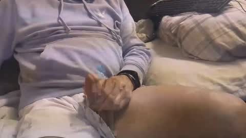 Snapshot of bigboytoy_12 chatting on March 2025 04:58:02 AM L e g a l    S t u f f Any UNAUTHORIZED use of this profile video pictures or audio in any form or in a forum now or in the fu online show from March 2025 04:58:02 AM