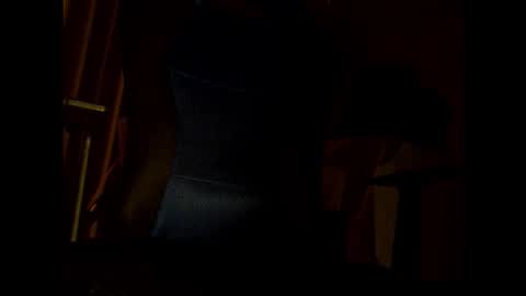 Snapshot of bigbro0007 chatting on November 2025 07:03:01 PM bigbro0007 online show from November 2025 07:03:01 PM