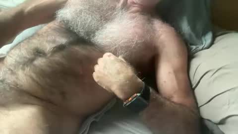 big bush online show from January 2025 05:32:01 AM