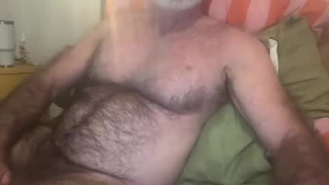 big bush online show from July 2026 07:23:02 AM