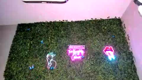 Snapshot of bigbuttsarena chatting on April 2026 06:27:01 AM bigbuttsarena online show from April 2026 06:27:01 AM