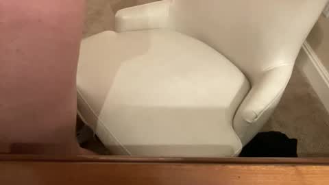 Snapshot of bigcock4u32 chatting on March 2026 04:16:02 AM bigcock4u32 online show from March 2026 04:16:02 AM