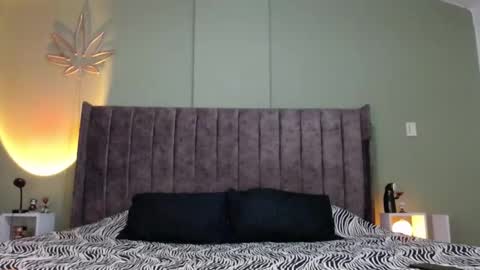 Snapshot of bigdaddybx chatting on February 2025 05:53:02 AM Nate online show from February 2025 05:53:02 AM