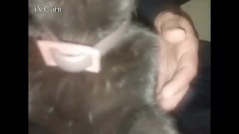 Big online show from February 2026 02:34:02 AM